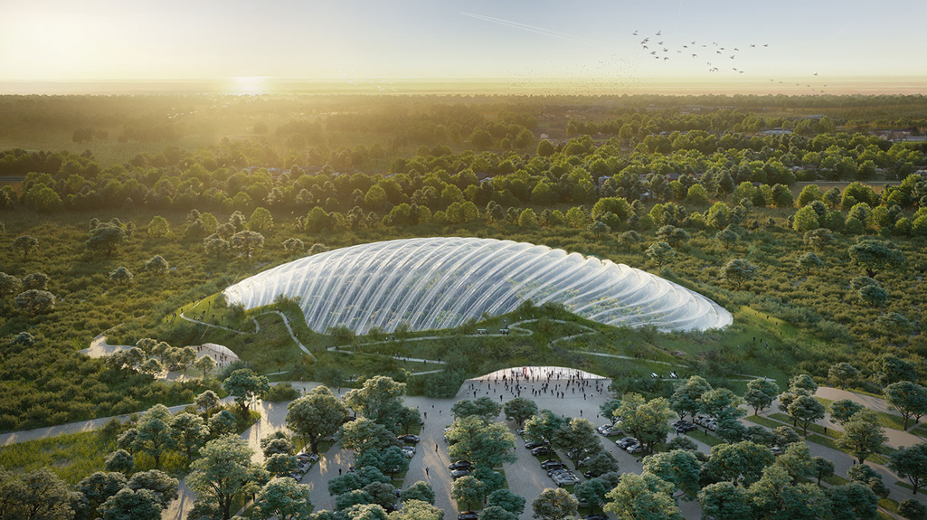 Tropicalia – A Bubble of Harmony