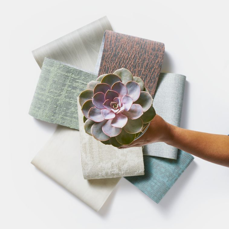 Mohawk Group: Love Life