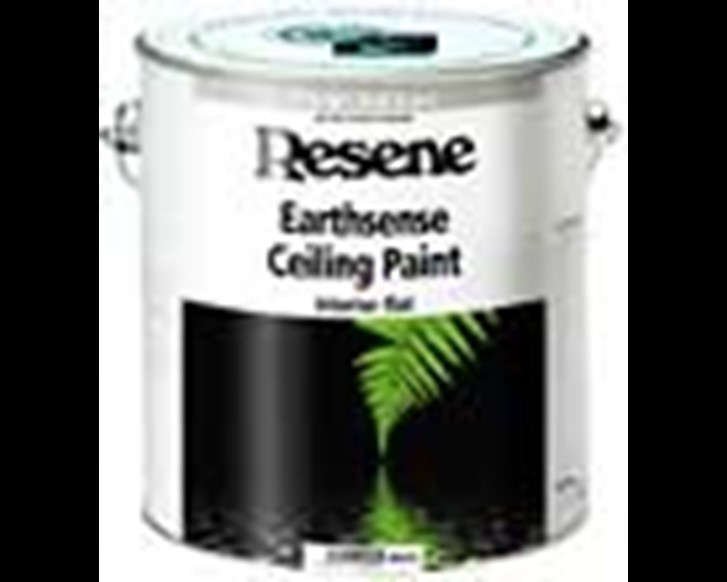 Earthsense Ceiling Paint