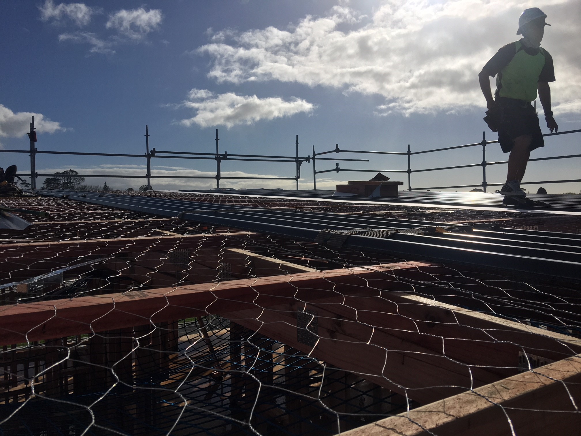 Ausnet support netting